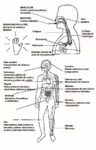 OIT  IMAGENES DIBUJOS JPG